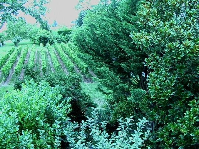 Les Id De Saint Emilion Bed and Breakfast Εξωτερικό φωτογραφία